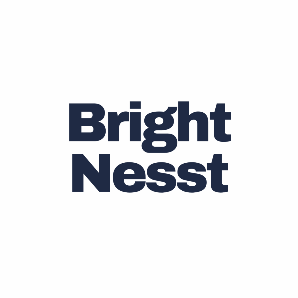 BrightNesst Logo Blue
